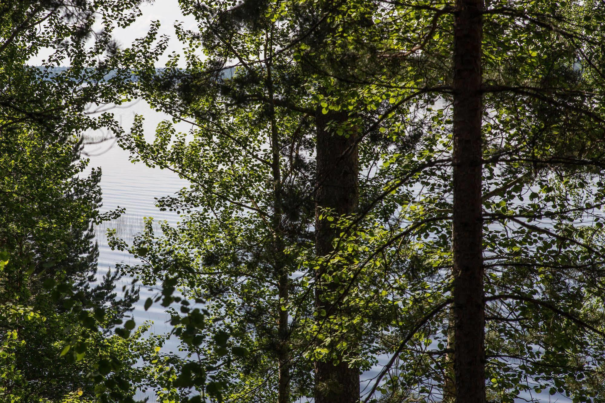 Hotel Kruunupuisto Punkaharju Exteriér fotografie